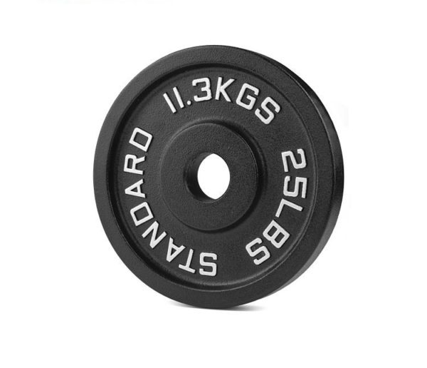 rubber plate 25lbs